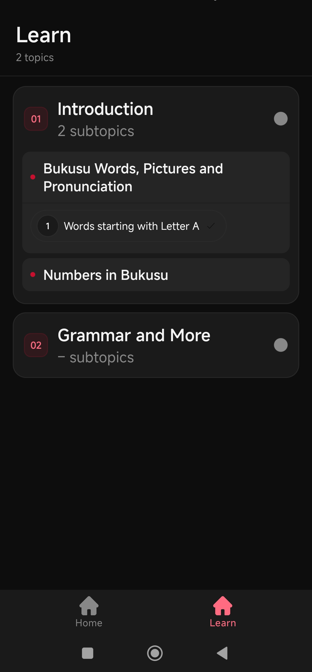 AfriTongue Learn Screen